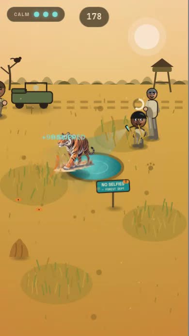 Selfie Safari